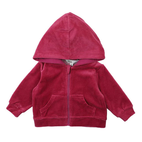 Bebe Size 0 Lucie Velour Zip Hoodie and Lucie Velour Track Pant