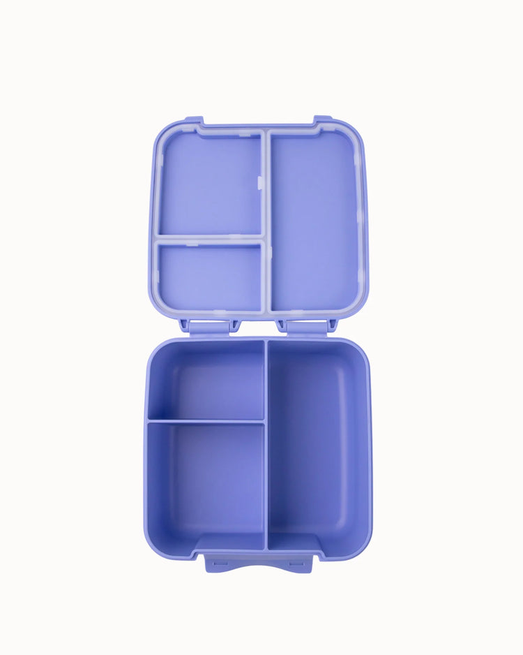 MontiiCo Bite Lunch Box - Splash