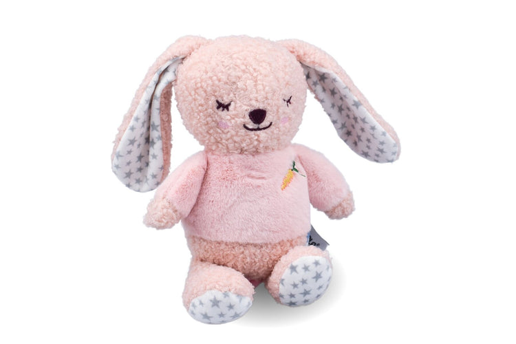 SNUGGLE BUDDY BERRY BUNNY PLUSH GIFT SET – 4 PIECE