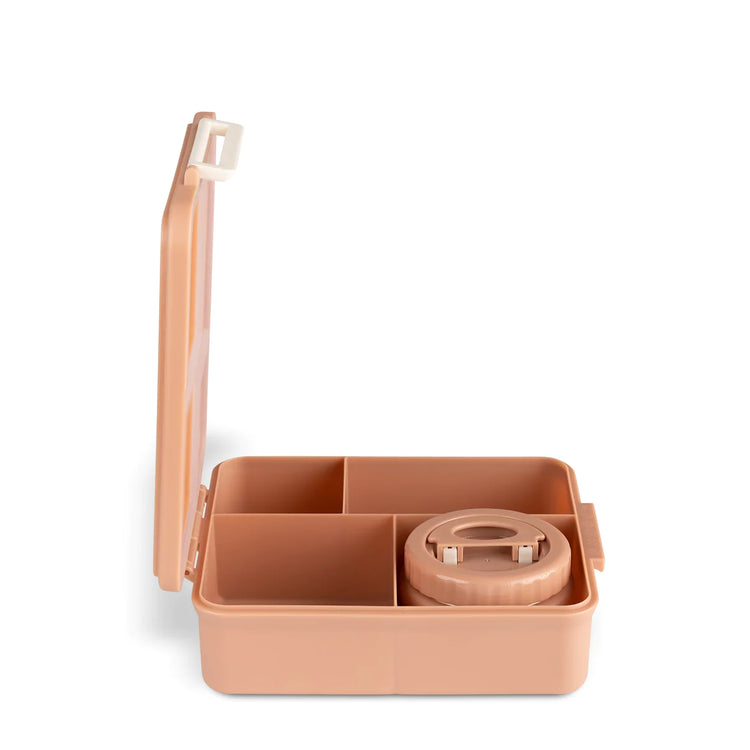 Citron Lunch box with insulated food jar- Blush