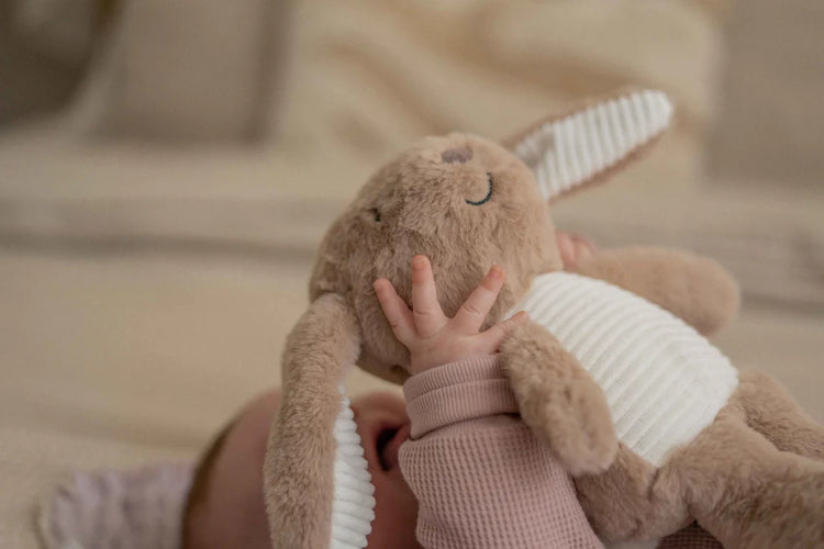 Flow Amsterdam  Milo (brown) - Heartbeat comforter (Copy)