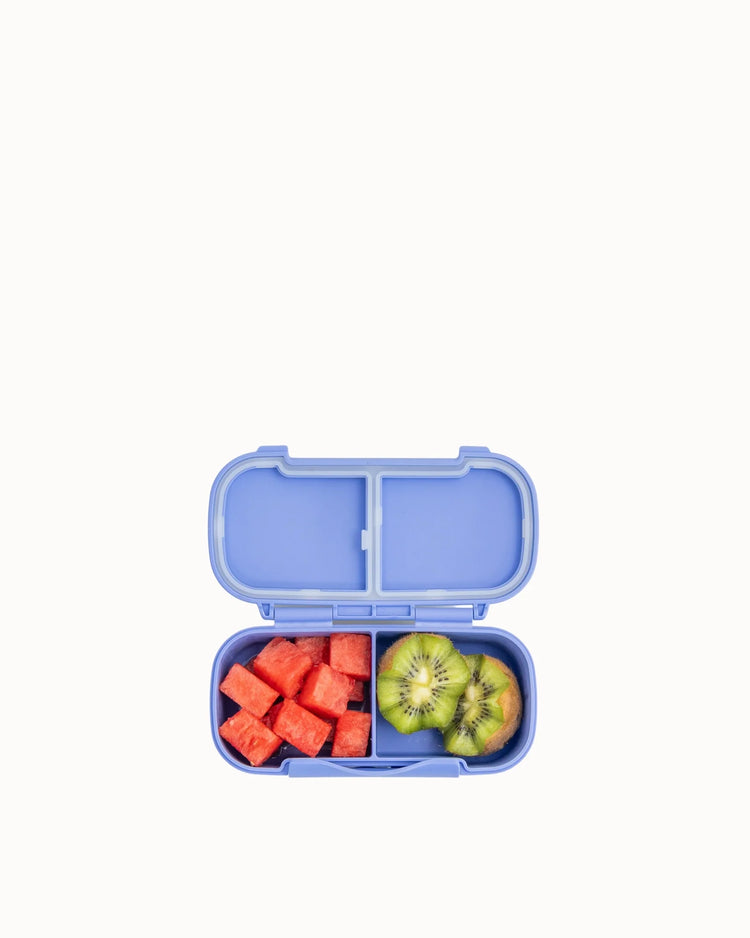 MontiiCo Snack Lunch Box - Splash