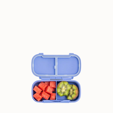 MontiiCo Snack Lunch Box - Splash