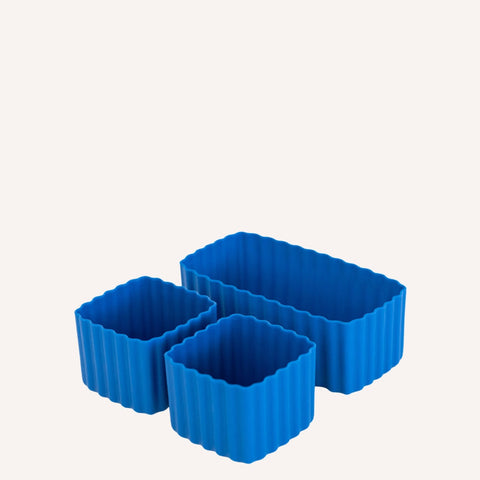 Montii Co Bento Cup -Reef