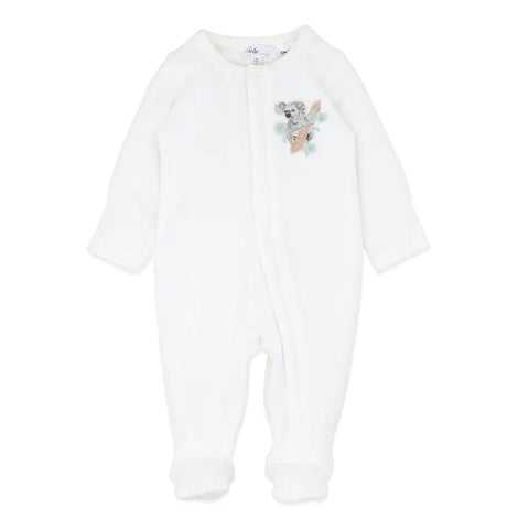 BEBE CHARLIE KOALA VELOUR ZIP ONESIE