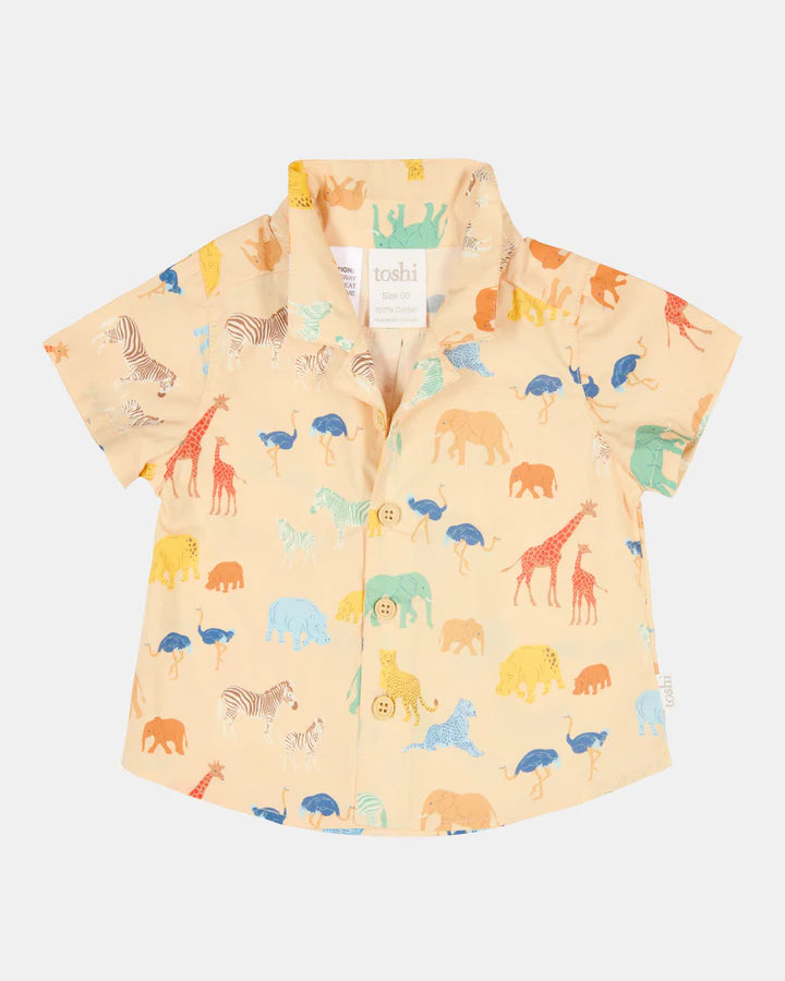Toshi Shirt Banjo /Congo Driftwood