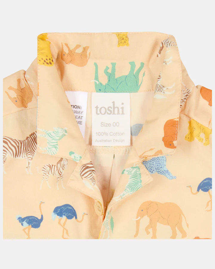Toshi Shirt Banjo /Congo Driftwood