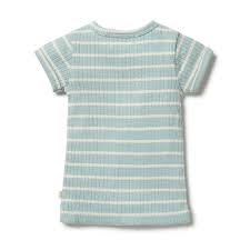 Wilson & Frenchy Pistachio Organic Stripe Rib Top