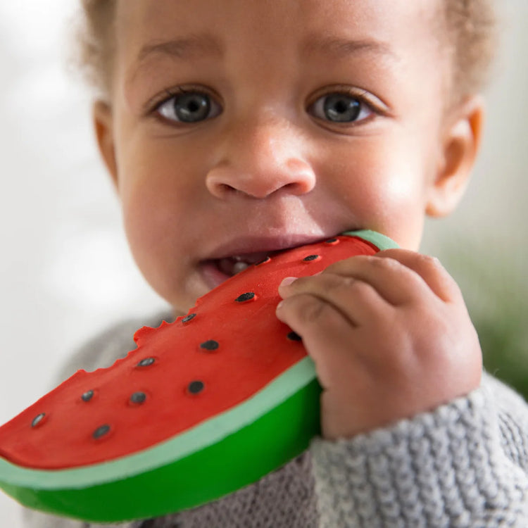 Oli&Carol Teerher Wally the Watermelon