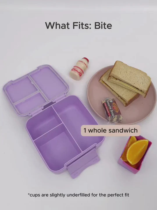 MontiiCo Bite Lunch Box - Navy