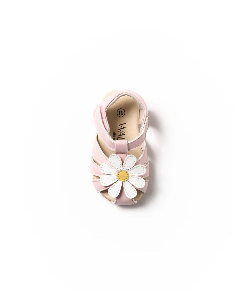 Walnut Mini Buttercup Sandal - Pink