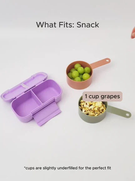 MontiiCo Snack Lunch Box - Floss