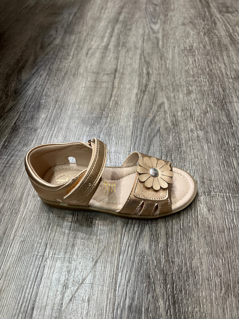 CLARKS MERRY - ROSE GOLD