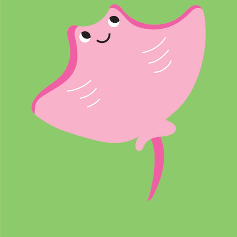 Little Genius Vol. 2 - Snap Cards - Go Fish