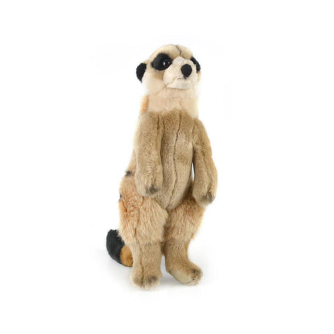 KORIMCO MEERKAT ROYALE