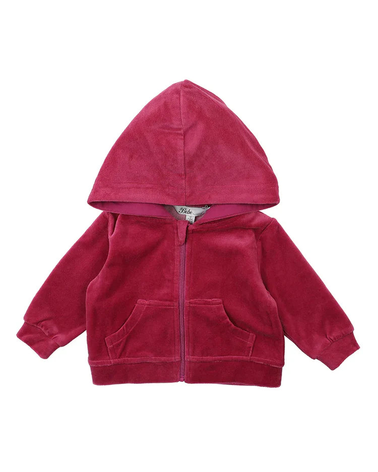 Bebe Size 0  Lucie Velour Zip Hoodie and Lucie Velour Track Pant