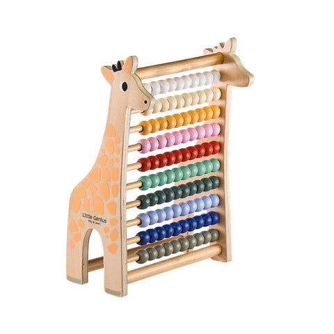 Little Genius Play & Learn - Abacus