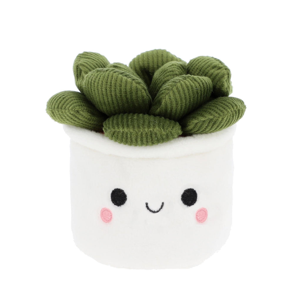 BOBBALLS PLANT 4 ASSTD  30CM