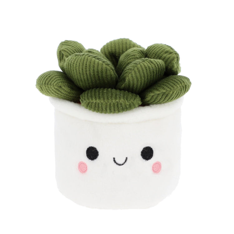 BOBBALLS PLANT 4 ASSTD  30CM