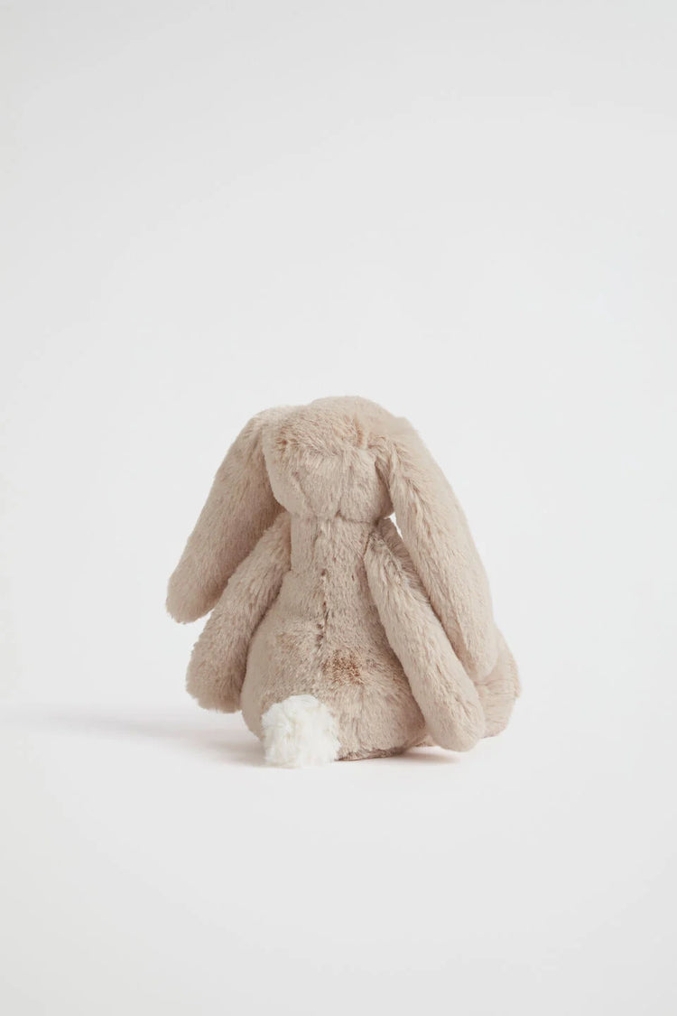 Jellycat Bashful Beige Bunny Little (Sml)