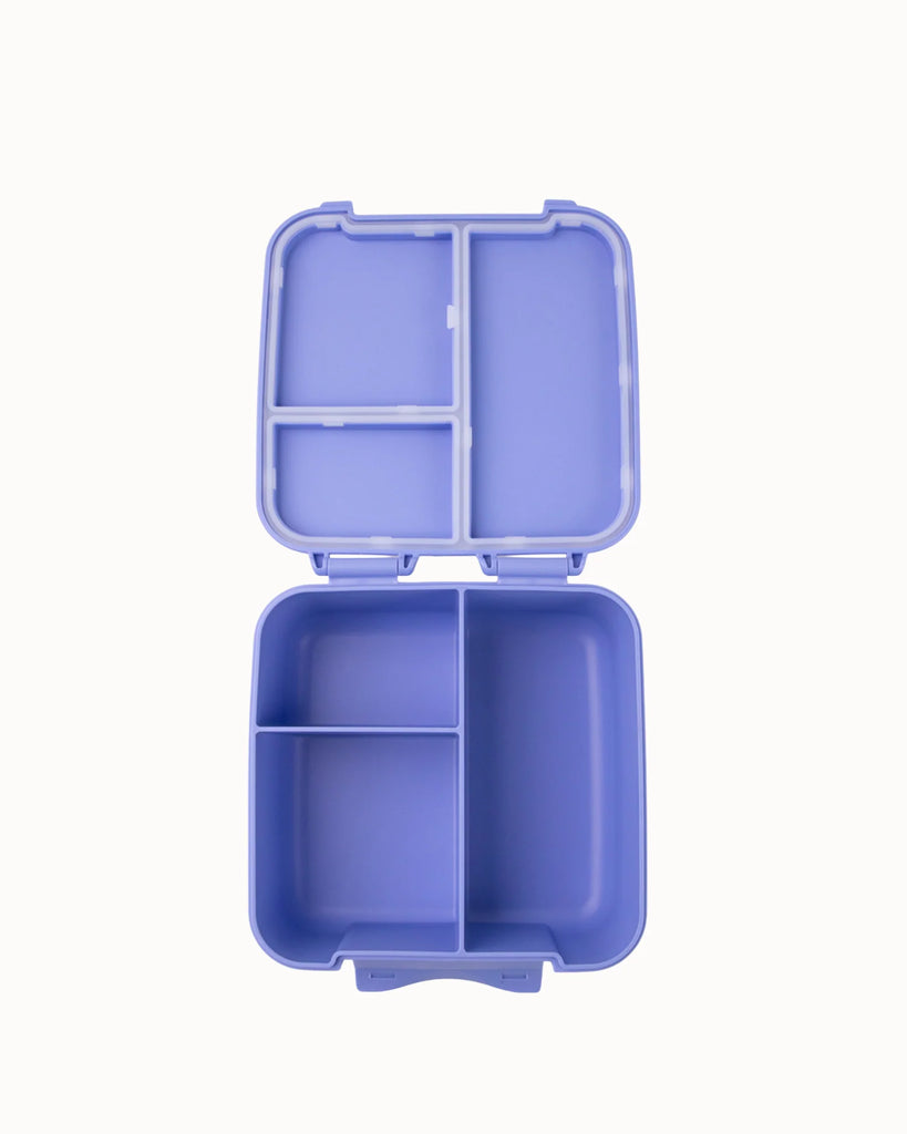 MontiiCo Bite Lunch Box - Splash