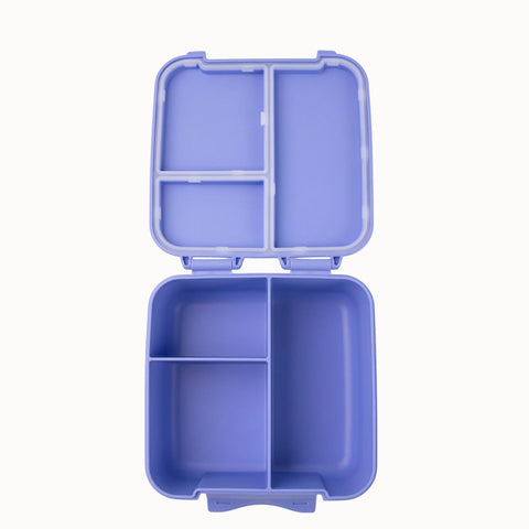 MontiiCo Bite Lunch Box - Splash