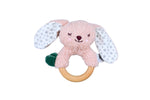 SNUGGLE BUDDY BERRY BUNNY PLUSH GIFT SET – 4 PIECE