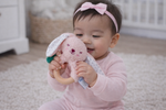 SNUGGLE BUDDY BERRY BUNNY PLUSH GIFT SET – 4 PIECE
