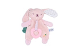 SNUGGLE BUDDY BERRY BUNNY PLUSH GIFT SET – 4 PIECE
