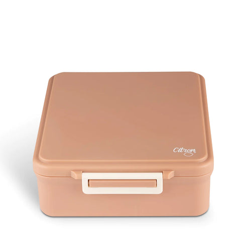 Citron Lunch box with insulated food jar- Blush