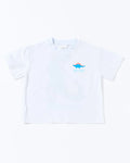 Walnut Felix Tee - Rainbow Dino