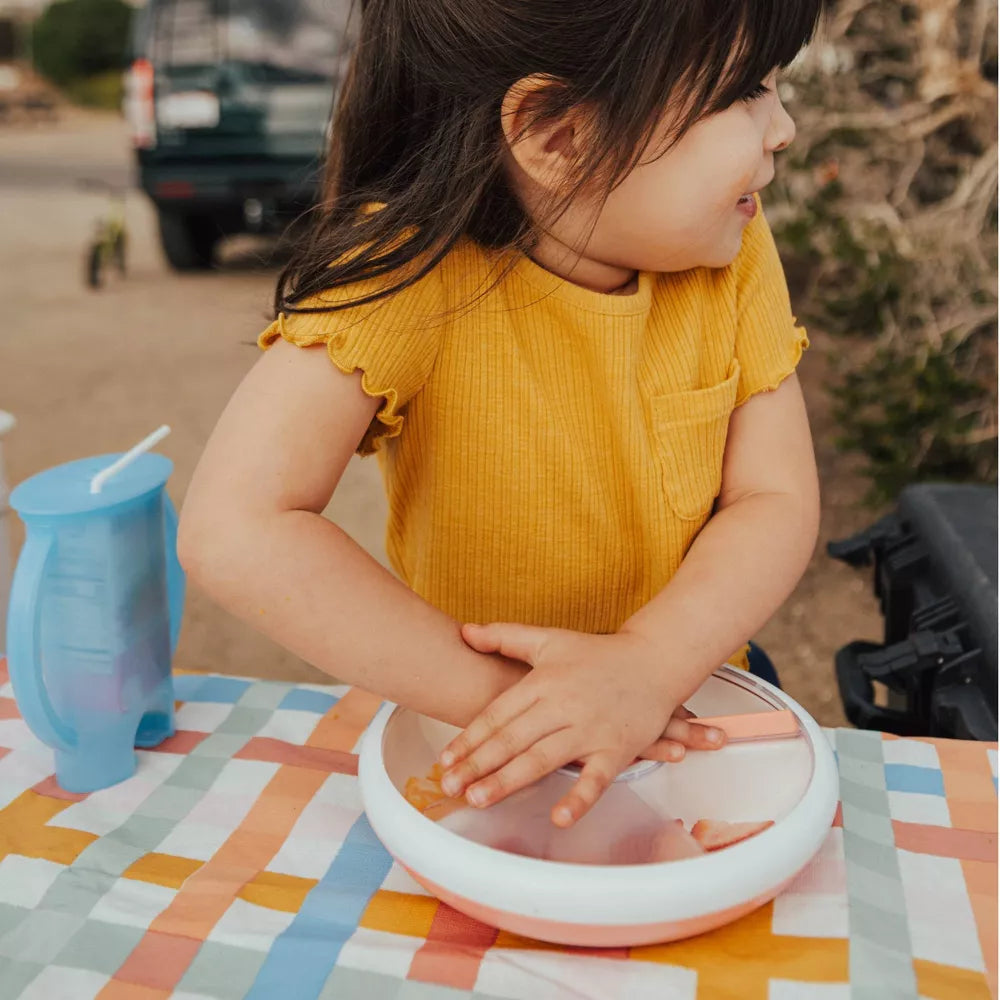 Gobe Orignial Snack Spinner Small -Pink