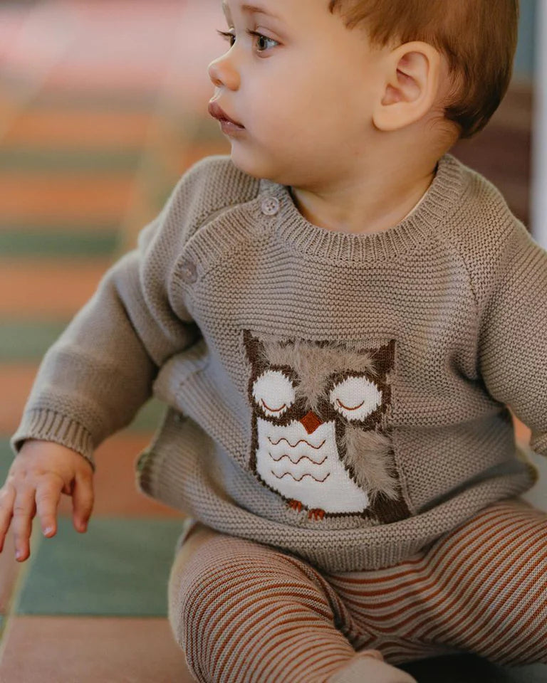 BEBE ELI OWL KNITTED JUMPER