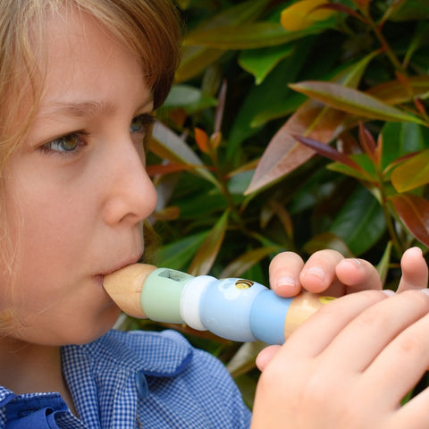 BUZZY DAYS BEE RAINBOW RECORDER