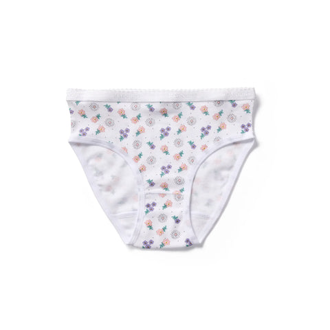 Marquise Gingham Floral Underwear 2 Pack