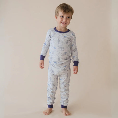 Marquise Boys Grey Origami Dinosaur Pyjamas