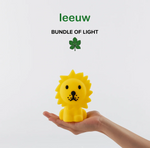 Mix Bundle of Light - Lion