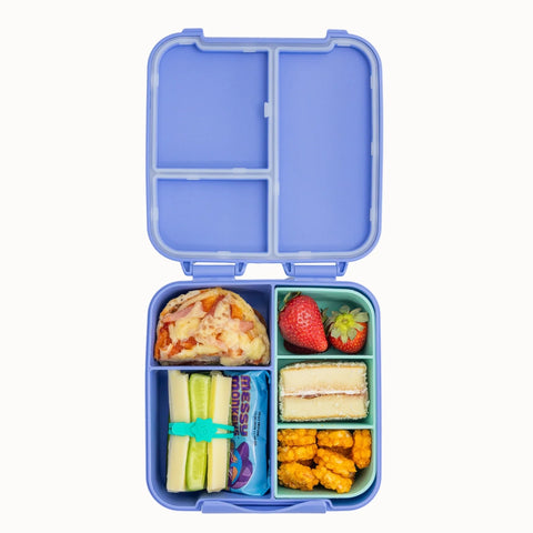 MontiiCo Bite Lunch Box - Splash