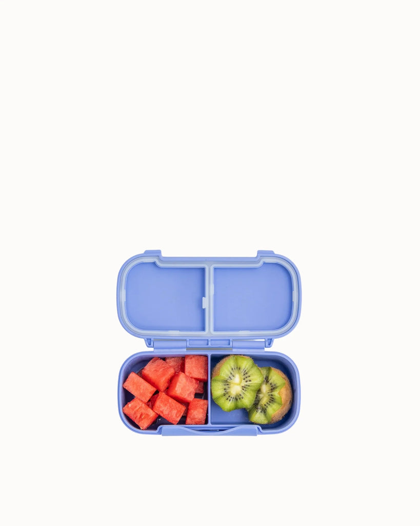MontiiCo Snack Lunch Box - Splash