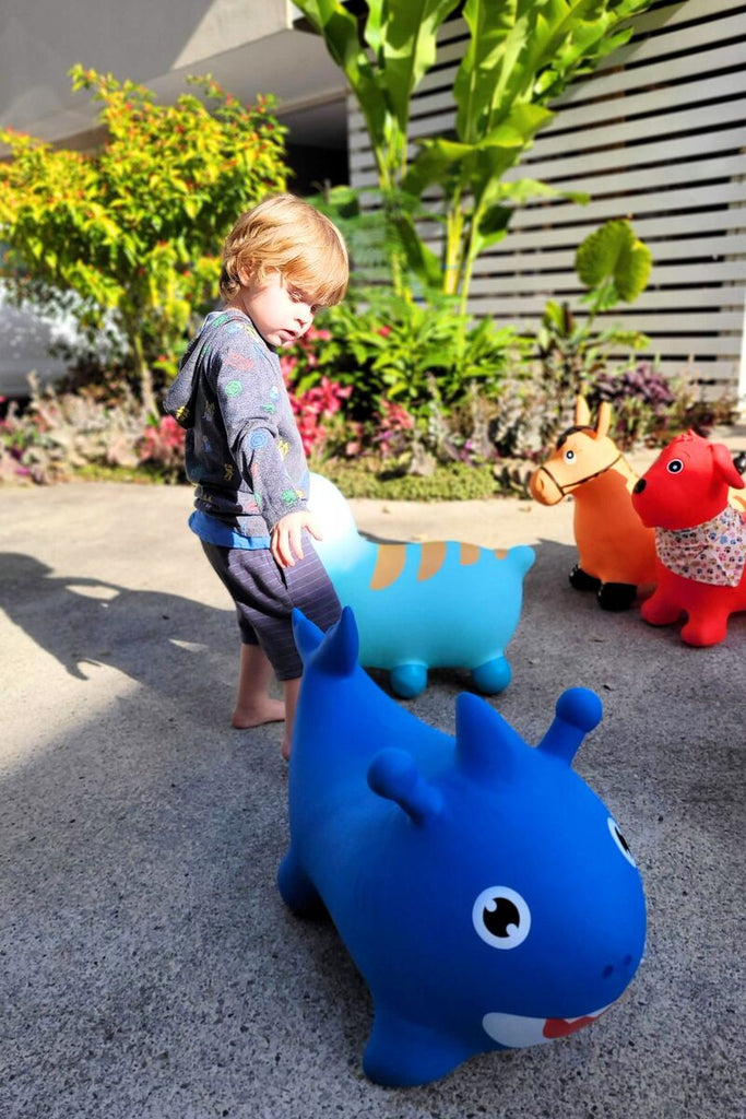 BOUNCY RIDER  SPLASH THE SHARK