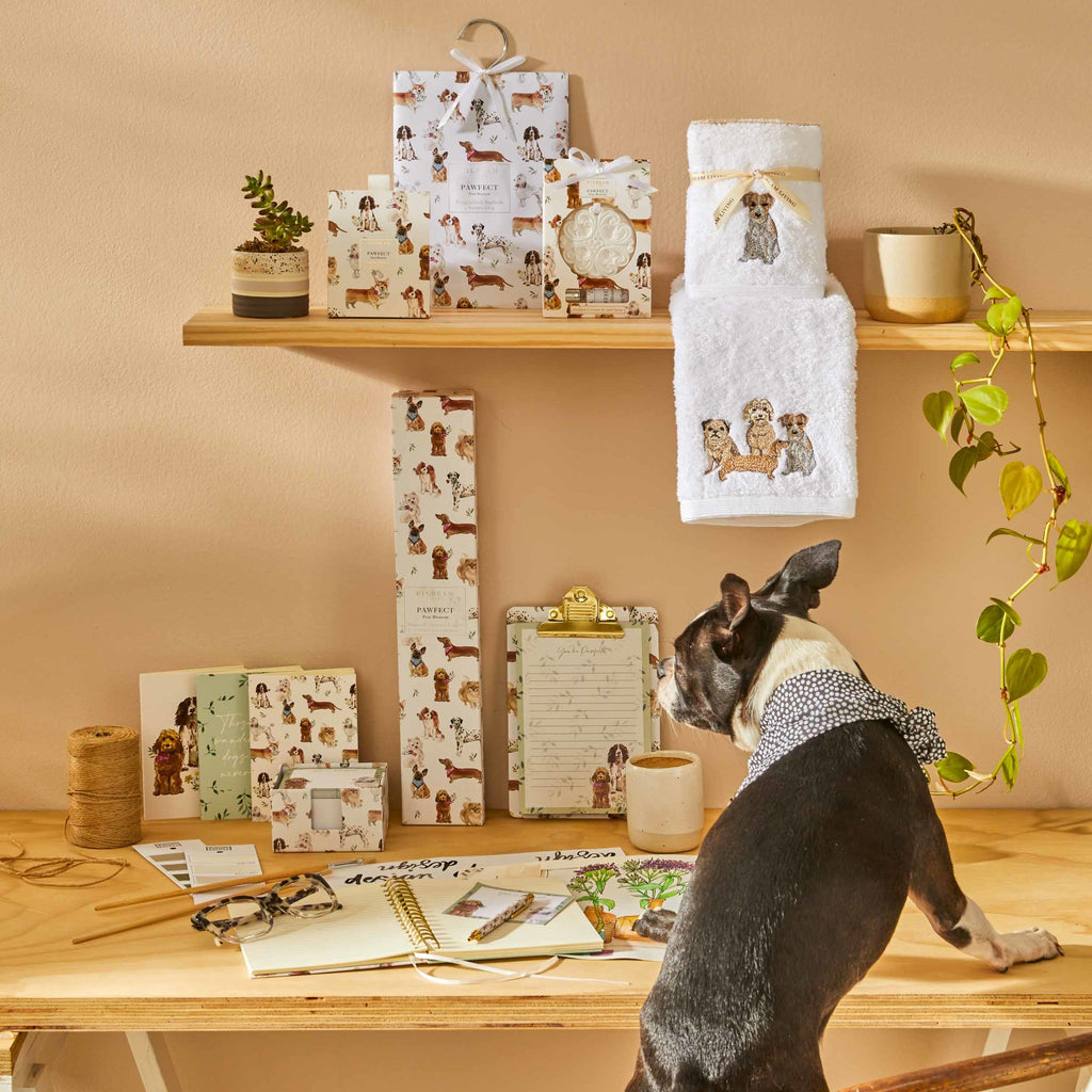 Pawfect Scented Ceramic Disc - Pear Blossom