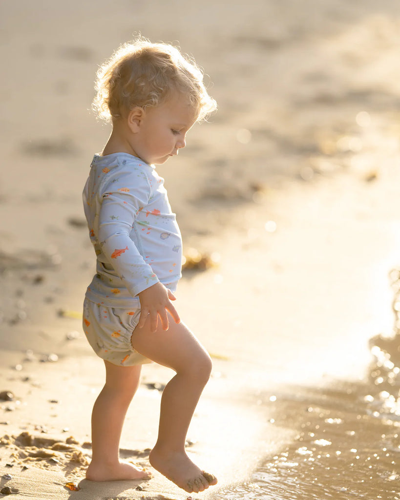 Toshi Swim Baby Nappy Classic - Reef