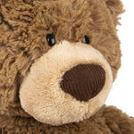 BEAR: PINCHY BROWN 43CM