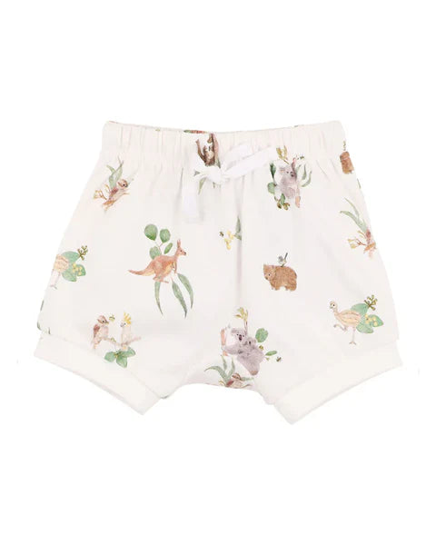 BEBE AUSTRALIANA KOALA ORGANIC TEE and Shorts Set with Free Koala Rattle Special Combo
