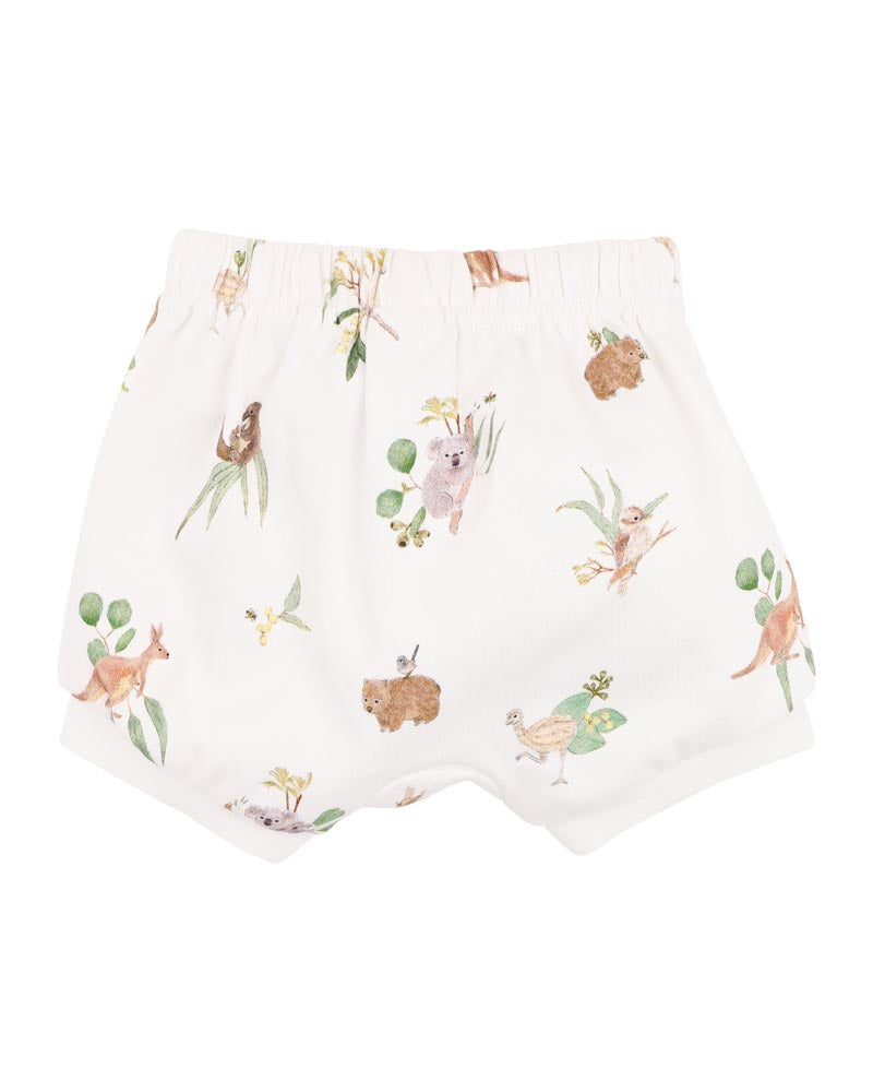 Bebe AUSTRALIANA ORGANIC  SHORTS