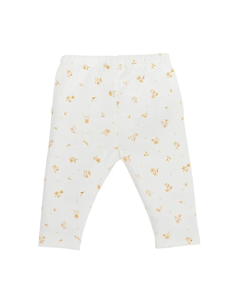 Bebe BAILEY FLORAL PRINT LEGGINGS