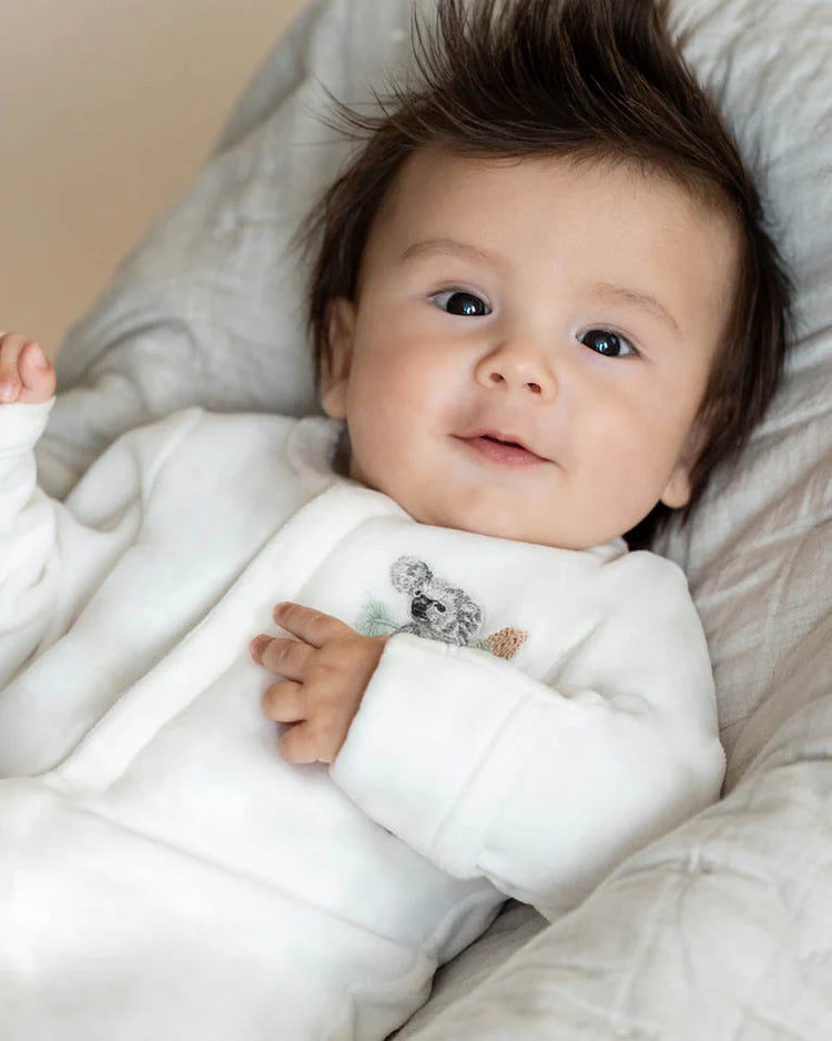 BEBE CHARLIE KOALA VELOUR ZIP ONESIE