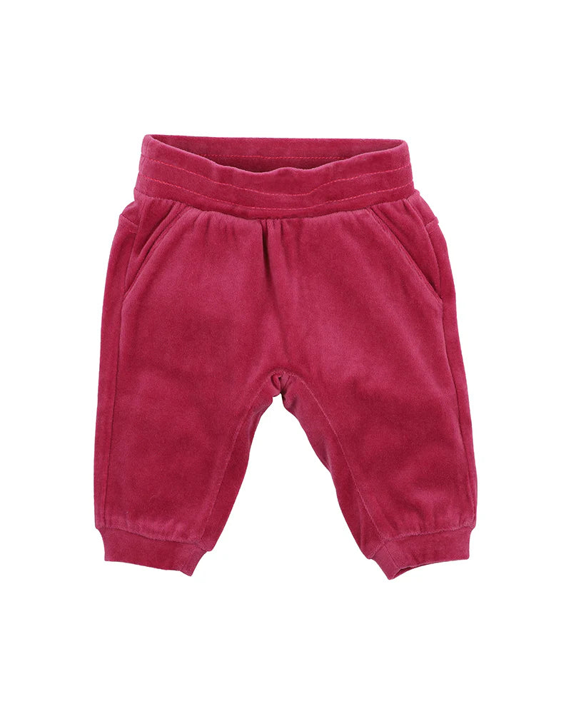 Bebe Size 0  Lucie Velour Zip Hoodie and Lucie Velour Track Pant