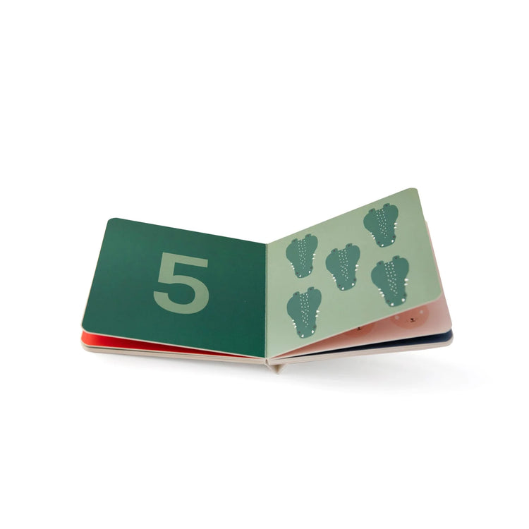 Trixie Counting book