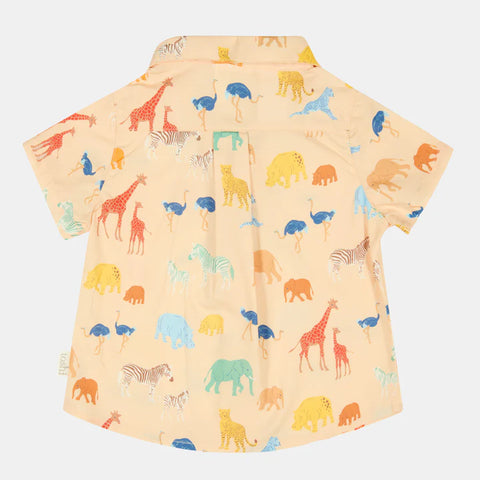 Toshi Shirt Banjo /Congo Driftwood
